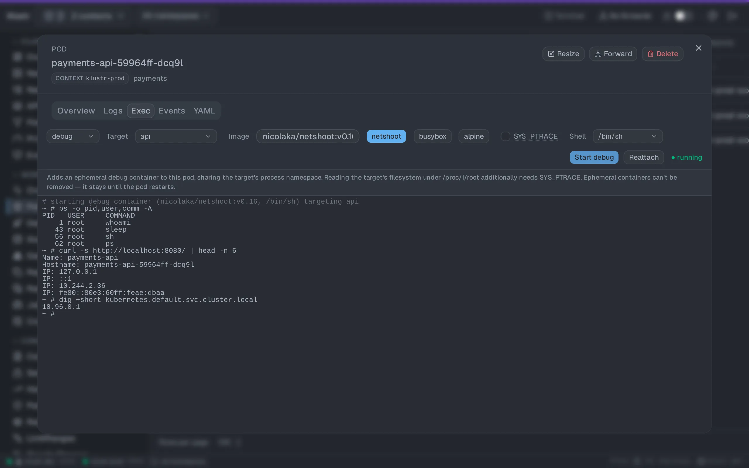 Klustr Debug container view in the One Dark theme. The Exec tab in debug mode injects a netshoot container into a shell-less pod, sharing its process namespace. ps, curl and dig run against the target from inside the pod.